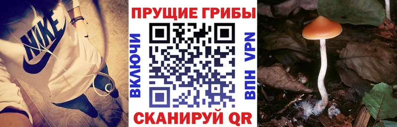 Псилоцибиновые грибы прущие грибы  Сретенск 